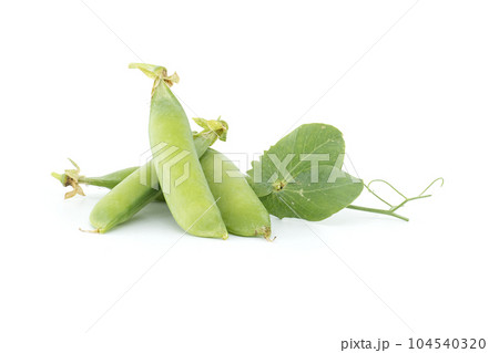 Garden peas pods with green leaves isolated on white 104540320