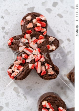 Freshly made Christmas cookie-cutter peppermint fudge on the kitchen counter. Freshly made Christmas cookie-cutter peppermint fudge on the kitchen counter. 104540440