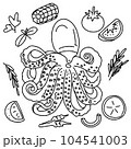 octopus 104541003