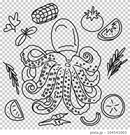 octopus octopus 104541003