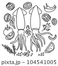 squid 104541005