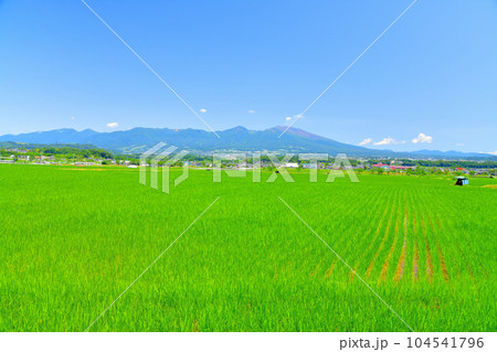 佐久市根岸より浅間山方面を望む(長野県佐久市)【2023.7】 佐久市根岸より浅間山方面を望む(長野県佐久市)【2023.7】 104541796