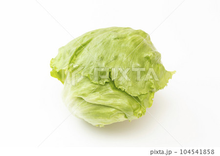 レタス　白バック 104541858