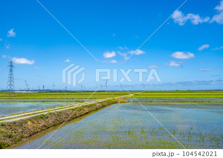 田園風景　小泊道 104542021