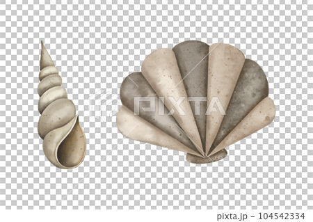Watercolor set of Seashell. Pearl oyster and spiral shell. Marine underwater elements design. Drawing of conch, shell and cockleshell. Hand drawn aquarelle illustration for logo, banner, poster, print 104542334