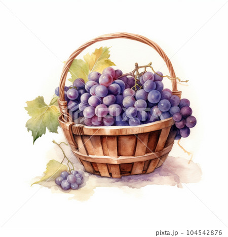 かご盛りぶどうの水彩イラスト AI画像のイラスト素材 [104542876] - PIXTA 