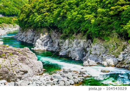 徳島 新緑の大歩危峡 徳島 新緑の大歩危峡 104543029
