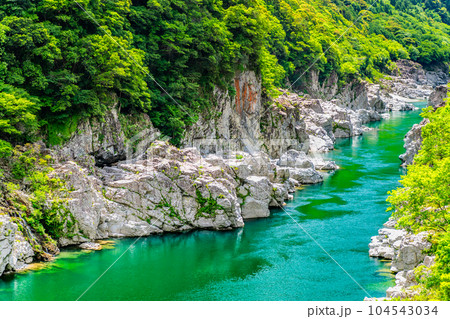 徳島 新緑の大歩危峡 104543034