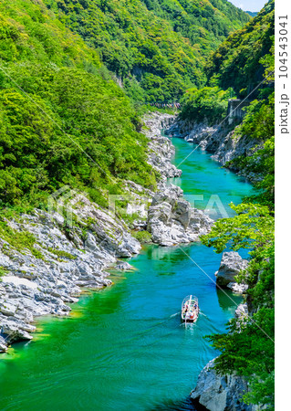 徳島 新緑の大歩危峡 徳島 新緑の大歩危峡 104543041