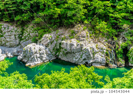 徳島 新緑の大歩危峡 徳島 新緑の大歩危峡 104543044