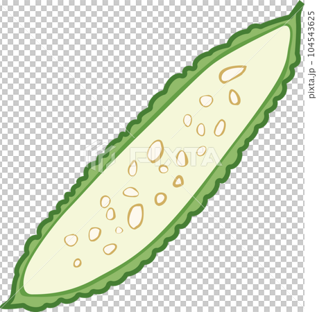 半分にカットされたゴーヤーのイメージイラスト 104543625