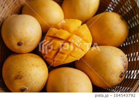 yellow ripe mangoes in basket 104543792
