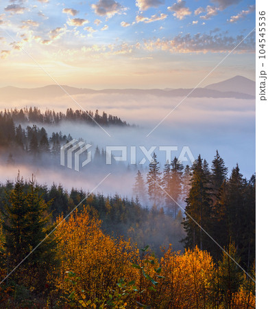Autumn misty Carpathians, Ukraine. 104545536