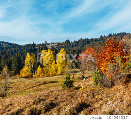 Morning autumn Carpathians landscape. 104545537