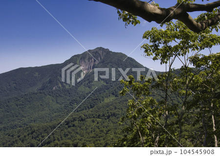 大渚山登山道から見る雨飾山 長野県小谷村 大渚山登山道から見る雨飾山 長野県小谷村 104545908