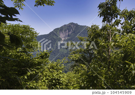 大渚山登山道から見る雨飾山　長野県小谷村 104545909