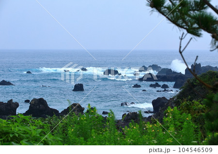 It is a beautiful scenery of Seogwipo coast in Jeju Island, a famous tourist attraction in Korea. It is a beautiful scenery of Seogwipo coast in Jeju Island, a famous tourist attraction in Korea. 104546509