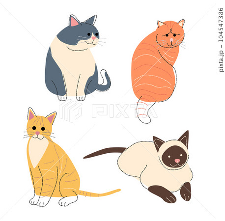 Cat breeds Set 2 . Flat shape and pencil line drawing design . Vector . Cat breeds Set 2 . Flat shape and pencil line drawing design . Vector . 104547386