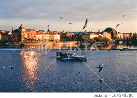 鳥たちの歓迎を受けるクルーズ船 104548380