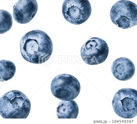 Blueberry flies close-up on a white background. Blueberry flies close-up on a white background. 104548387