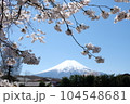 Fujisan and sakura blossom 104548681
