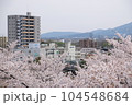 Chrry blossom at Aomoti castle 104548684