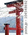 Haakone Torii  104548692