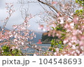 Haone Torii  104548693