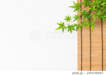 青紅葉とすだれの白バック背景素材(夏イメージ) 青紅葉とすだれの白バック背景素材(夏イメージ) 104549987