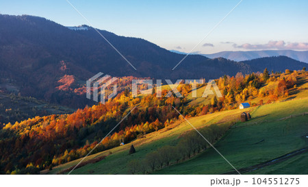 carpathian countryside at sunrise in autumn. rural fields and forested hill in morning light. distant ridge beneath s sky with clouds carpathian countryside at sunrise in autumn. rural fields and forested hill in morning light. distant ridge beneath s sky with clouds 104551275