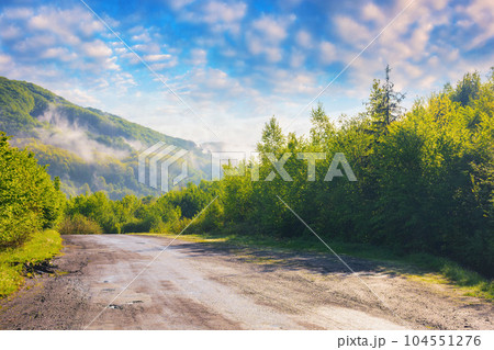 foggy sunrise illuminates the road among trees, providing a picturesque view of the tranquil countryside. the scenic route offers a sunny view of the rolling landscape 104551276