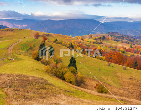carpathian countryside at sunrise in autumn. rural fields and forested hill in morning light. distant ridge beneath s sky with clouds carpathian countryside at sunrise in autumn. rural fields and forested hill in morning light. distant ridge beneath s sky with clouds 104551277