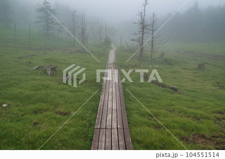 南アルプス　聖岳　周辺の景色 104551514