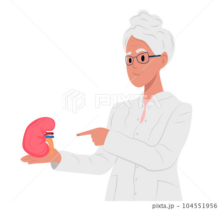 Nephrologist elderly family doctor, kidneys issues. World Day of Organ Donation and Transplantation.World Kidney Day. Concept of treatment of kidney diseases, kidney transplantation or organ donation. 104551956