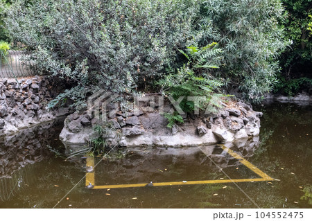 Terrapin Pond in National Garden of Athens, Greece 104552475