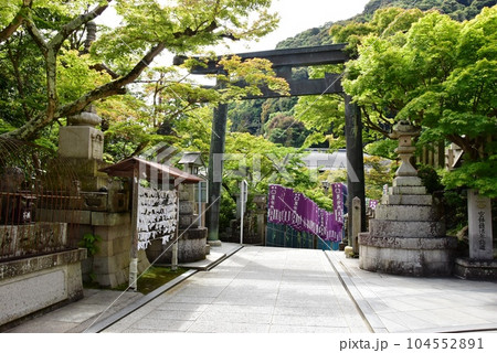 奈良県 信貴山朝護孫子寺の本堂前参道と鳥居と新緑 奈良県 信貴山朝護孫子寺の本堂前参道と鳥居と新緑 104552891