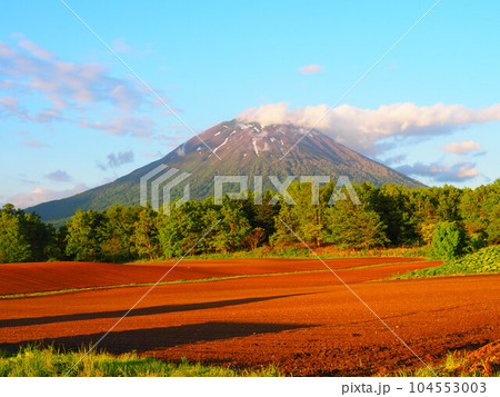 山頂に雲がかかる羊蹄山 104553003
