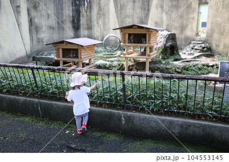 安佐動物公園、広島、親子 104553145