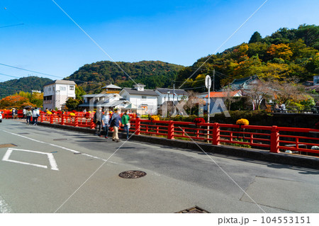 秋の晴れた日の伊豆修善寺の風景1　静岡県伊豆市 104553151