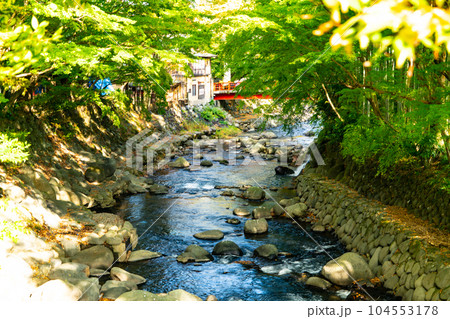秋の晴れた日の伊豆修善寺川の風景2　静岡県伊豆市 104553178