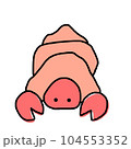 ヤドカリ 104553352