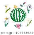 Juicy and fresh watermelon   with flowers  on white background 104553624
