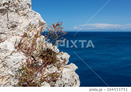 Rocky cliff with grass close-up on blue Ionian sea Rocky cliff with grass close-up on blue Ionian sea 104553751