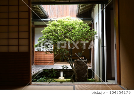 二川宿本陣資料館にある中庭と新緑の庭木 二川宿本陣資料館にある中庭と新緑の庭木 104554179