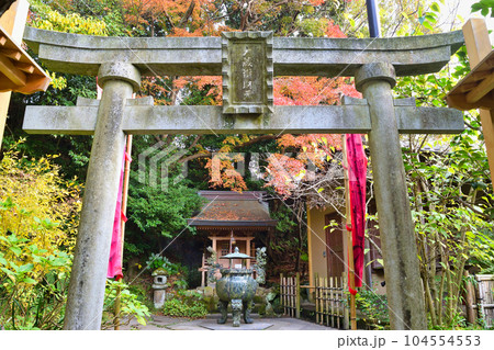 杉本寺 大蔵弁財天堂(神奈川県鎌倉市) 杉本寺 大蔵弁財天堂(神奈川県鎌倉市) 104554553
