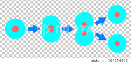 細胞分裂和繁殖的插圖 細胞分裂和繁殖的插圖 104554598