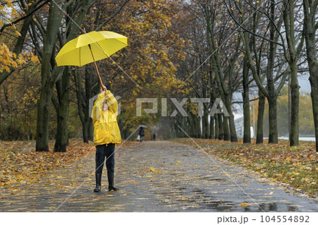 Little child is raising up his yellow umbrella in rainy autumn park. Boy on rainy street with falling leaves Little child is raising up his yellow umbrella in rainy autumn park. Boy on rainy street with falling leaves 104554892