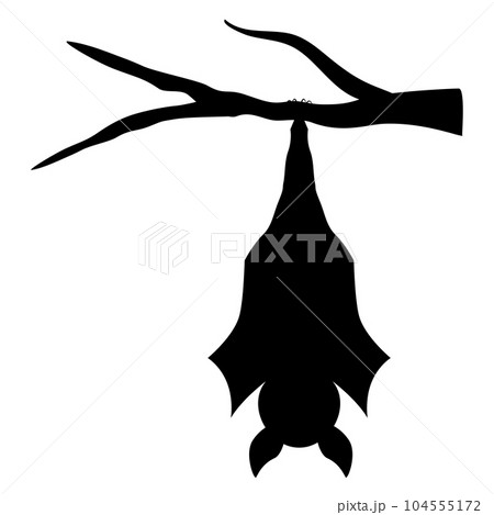 木の枝にぶら下がるコウモリ 木の枝にぶら下がるコウモリ 104555172