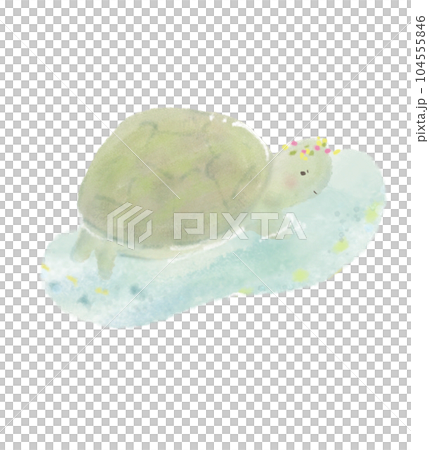 泳いでるかわいい亀のイラスト 104555846