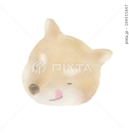 かわいくて優しい柴犬のイラスト 104555847